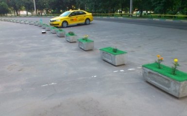Невеселые цветочки: соцсети высмеяли странное озеленение в Москве