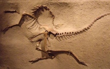 Вчені спровокували гучний скандал в науці - революційна знахідка виявилася помилкою