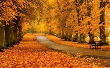 22 сентября - какой праздник сегодня отмечается в Украине