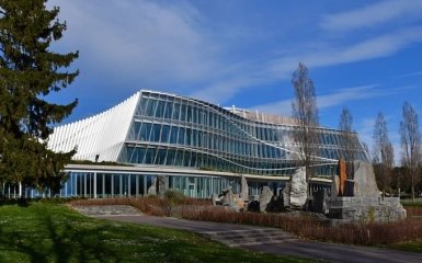 У світі багато воєн. В МОК відреагували на заклик не допускати РФ та Білорусь до змагань