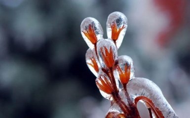 Сказочные ледяные скульптуры, созданные самой природой (15 фото)