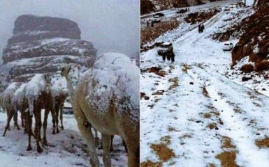 Спекотну Саудівську Аравію засипало снігом: опубліковані видовищні фото і відео