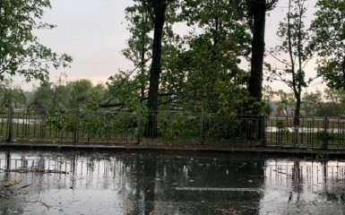 У Києві вирує ураган - опубліковано шокуючі відео