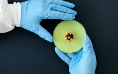 Стало відомо, коли вакцину Pfizer проти коронавірусу вперше використають