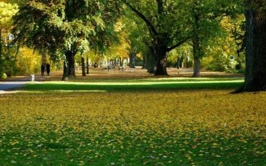 18 вересня – яке сьогодні свято відзначають в Україні