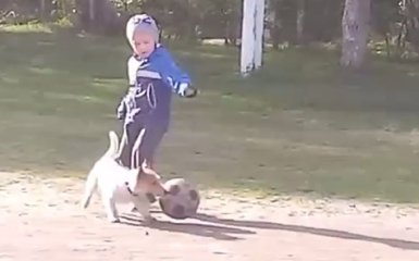 Пес Зіко підкорив мережу футбольними трюками: опубліковано відео