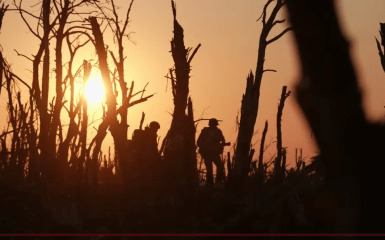 Украинские фильмы могут получить "Оскар"