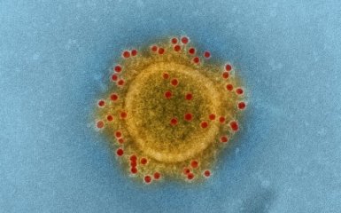 Щоб не захворіти: рекомендації влади проти коронавірусу