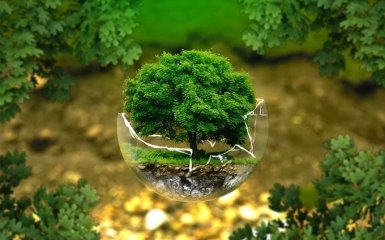 Еко-карантин: як потурбуватися про довкілля під час самоізоляції