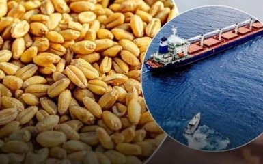 США знайшли придатні морські маршрути для експорту зерна з України