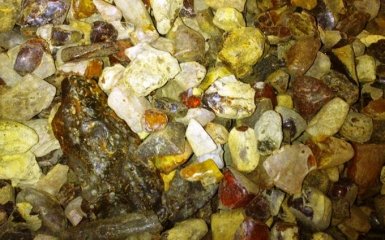 «Янтарное» дело: волна громких задержаний докатилась до Киева