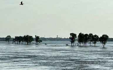 Армия РФ взорвала дамбу в Донецкой области