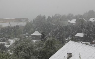 З'явилося відео і фото густого снігу, який випав на Львівщині