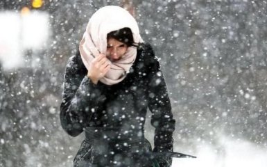 В Украину возвращается лютая зима: синоптики сделали новый прогноз