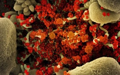 Новий штам коронавірусу "Дельта плюс": що відомо про його важкість і заразність