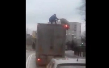 "Хряк дю Солей": епічна "сутичка" між чоловіком та свинею на даху вантажівки