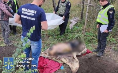В освобожденном селе на Харьковщине нашли тела замученных гражданских