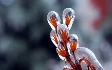 Шедевры природы на рубеже зимы и весны: опубликованы фото