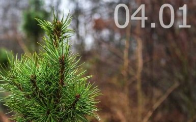 Прогноз погоди в Україні на 4 січня