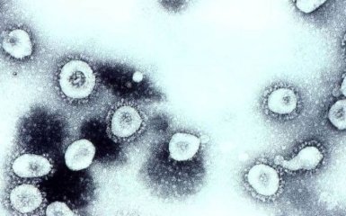 Коронавирус остается у человека после выздоровления: впечатляющее исследование