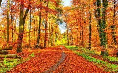 16 сентября - какой праздник сегодня отмечают в Украине