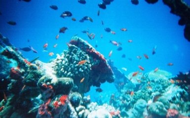 На Земле появятся гигантские зоны смерти - предупреждение ученых шокирует