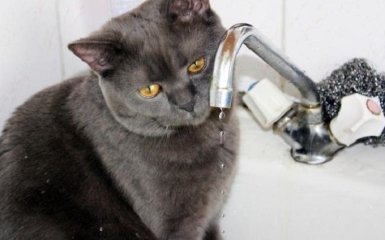 КМДА: Київ може залишитися без гарячої води