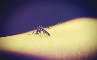 Ученые выяснили, когда малярия исчезнет с планеты