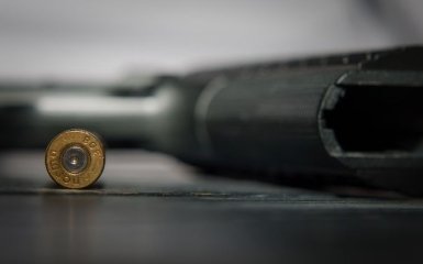 Разумков признал трудности принятия законопроекта о легализации оружия