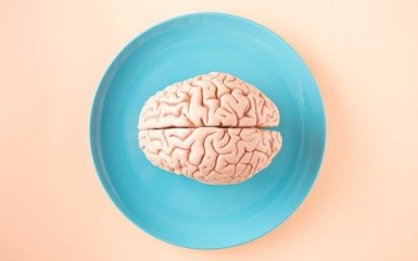 Людський мозок почав зменшуватися. Вчені назвали неочікувану причину