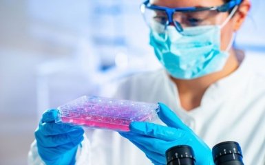 Укрепление иммунитета стволовыми клетками: как используют клеточные биотехнологии в Украине и в мире
