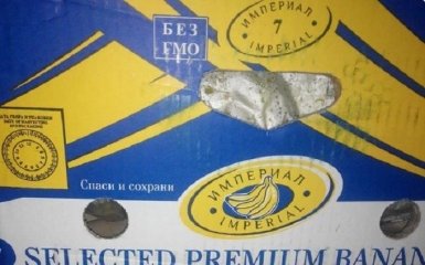 Православные бананы и плесневый сыр: соцсети насмешили фото еды в Крыму