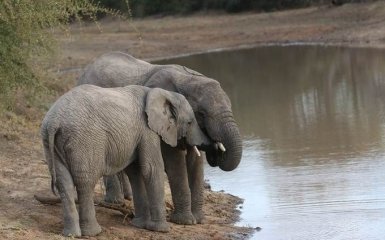 Наступила новая катастрофа - ученые бьют тревогу из-за глобальной проблемы