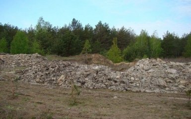 На Волыни в поле выгрузили фуры с мертвыми животными, протестующие перекрыли трассу: появились фото и видео