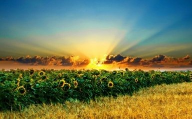 Купив за пляшку, продав за мільйони: в мережі названі кілька речей, які гублять Україну