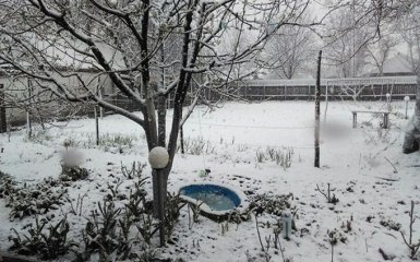 На Харківщині через сніг відправили школярів на канікули