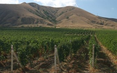 У жителей оккупированного Крыма изымут земельные участки для строительства трассы "Таврида"