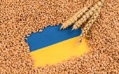 ЕС готовит решение против Польши в случае продления эмбарго на зерно из Украины