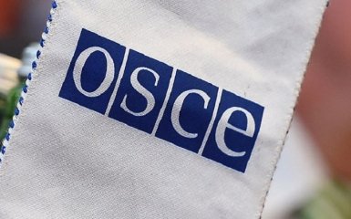 "Мы разочарованы": в ОБСЕ обратились к Украине с неожиданным замечанием