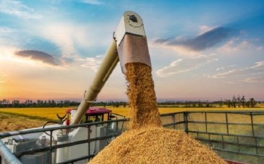Цены на пшеницу могут достичь нового исторического минимума — Bloomberg