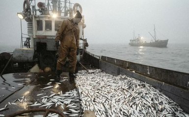 Промышленный лов рыбы в РФ