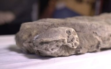 В Якутії у вічній мерзлоті знайшли печерне левеня