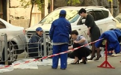 Савченко на каблуках красит забор у комитета ВР: появилось видео