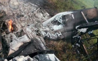 Біля Москви розбився приватний літак: з'явилися фото