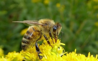 10 октября - какой сегодня праздник: приметы и что нельзя делать