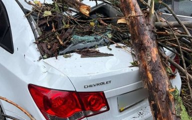 Негода в Києві