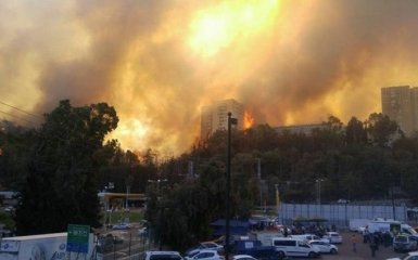 Страшные пожары в Израиле: появились фото помощи, которую шлет Украина