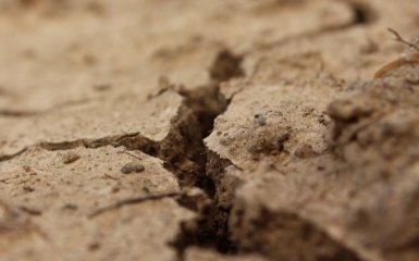 Изменения климата: ученые прогнозируют новые катастрофические последствия для экосистем