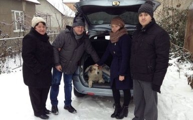 У історії з відданим псом і його подругою з'явилося продовження: опубліковані нові фото