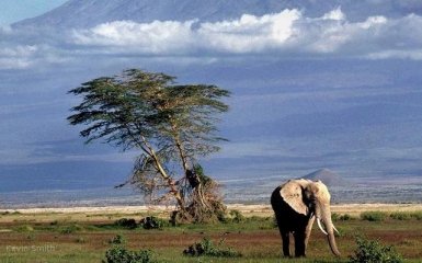 Детские визы в Кении отменены